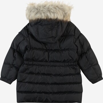 TOMMY HILFIGER Winter jacket in Black