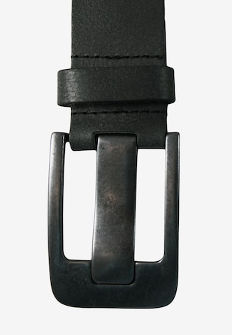 Petrol Industries Belt in Mixed colors