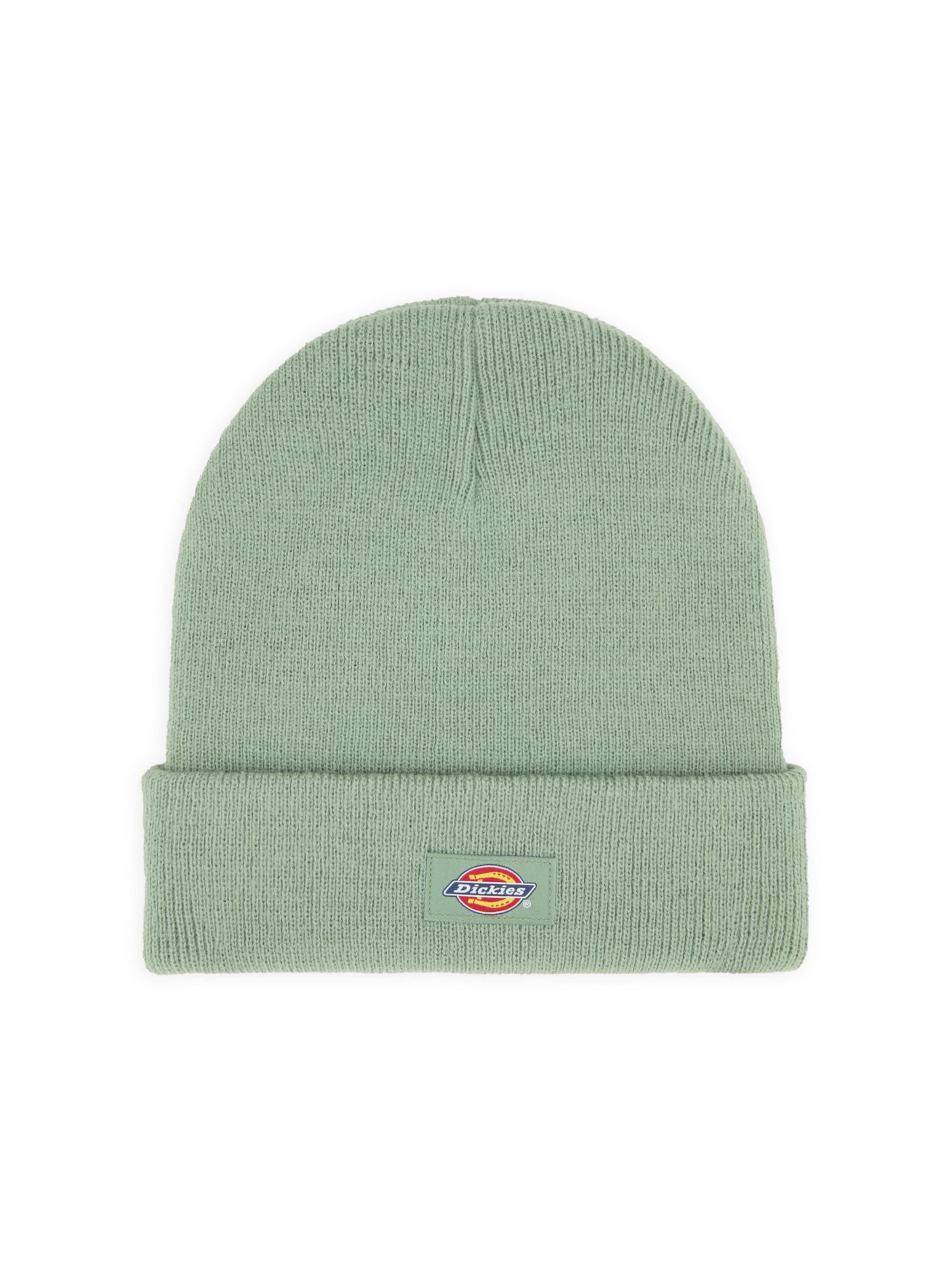 žalia DICKIES Megzta kepurė 'Gigsland': priekis