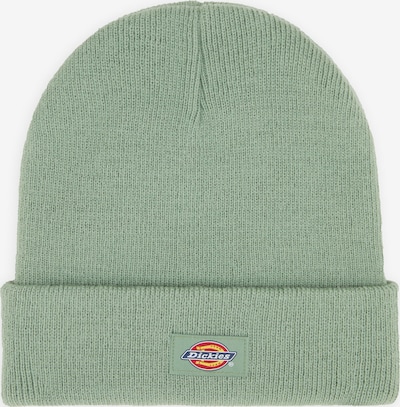 DICKIES Kapa 'Gigsland' u svijetlozelena, Pregled proizvoda