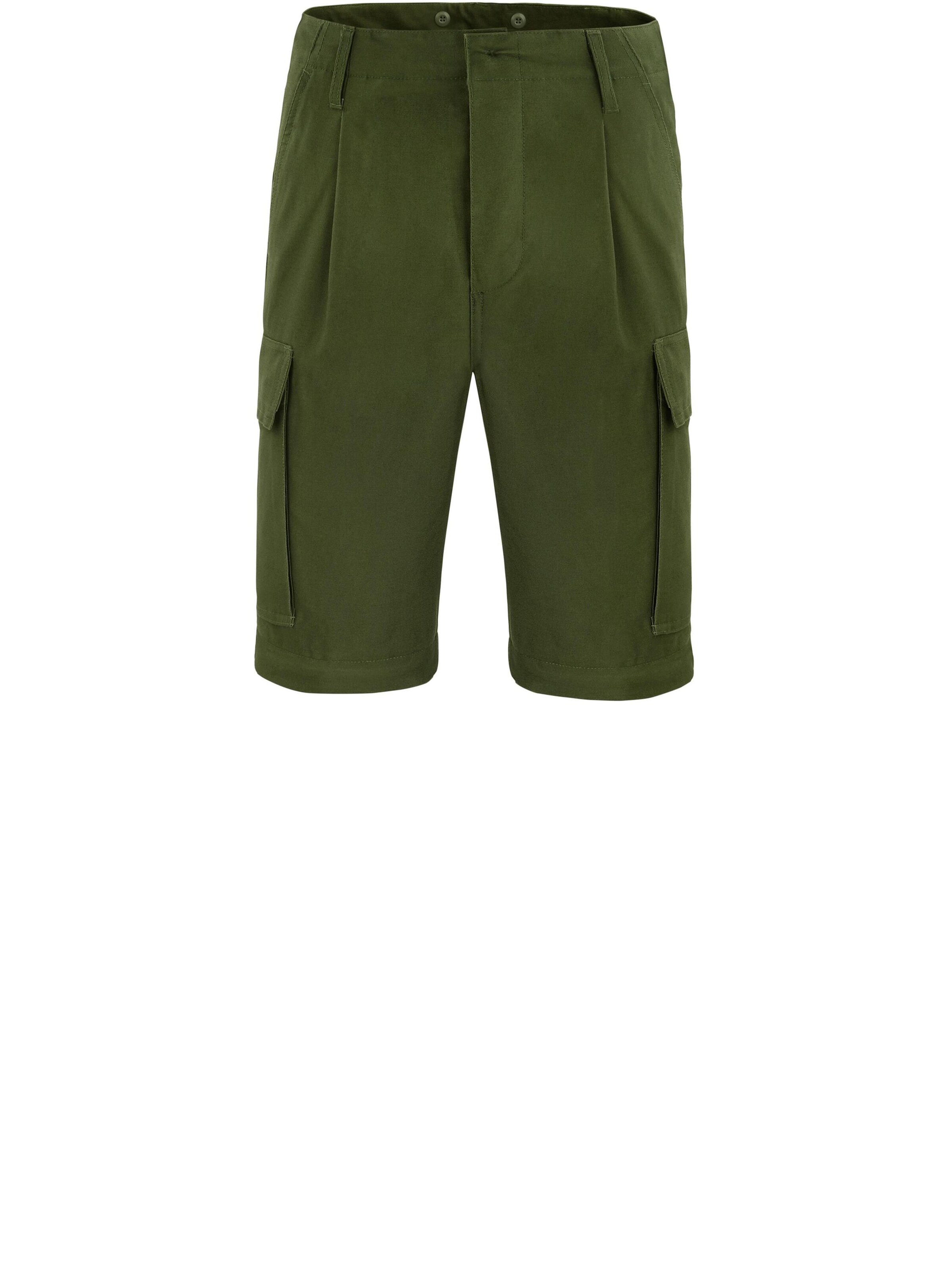 normani Regular Hose 'Daytona' in Grün