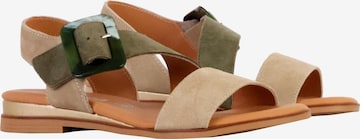 The Divine Factory Sandaal 'Alenoa-Ledersandalen' in Groen