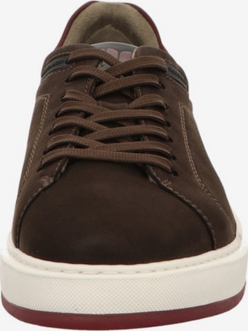 Pius Gabor Athletic Lace-Up Shoes in Brown