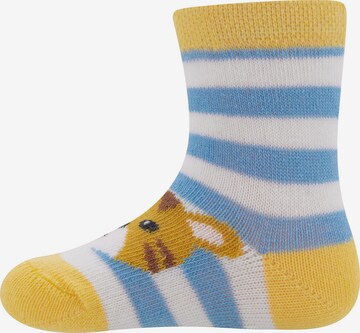 EWERS Socks in Mixed colors