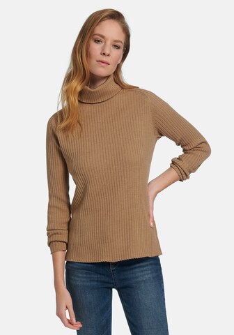 Peter Hahn Pullover in Braun: predná strana