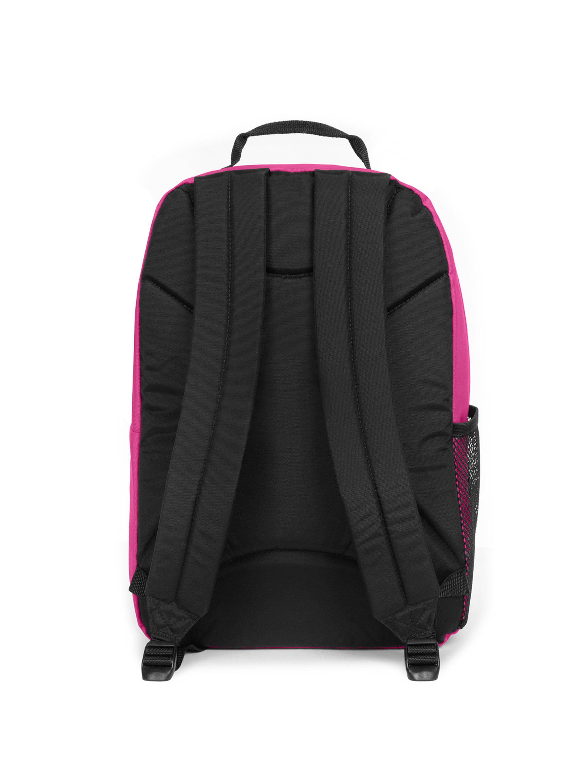 EASTPAK Seljakott 'Study Buddy', värv roosa