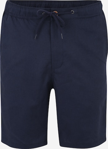 Iriedaily Regular Pants 'Jeremy' in Blue: front