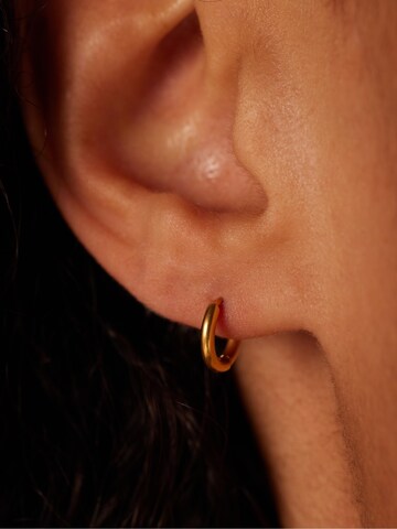 Boucles d'oreilles Lucardi en or : devant