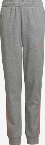ADIDAS PERFORMANCE Hose in Grau: front