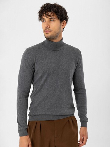Dandalo - Jersey en gris: frente