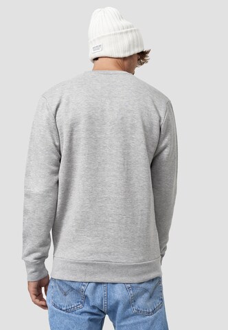 Mikon Sweatshirt in Grey