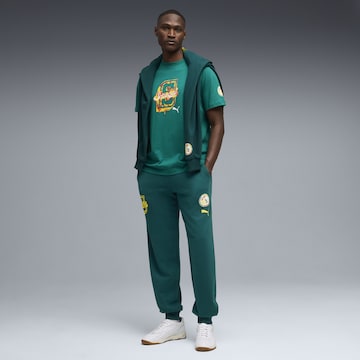 PUMA Jersey 'Senegal' in Green