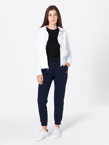 LACOSTE Tapered Broek in Blauw