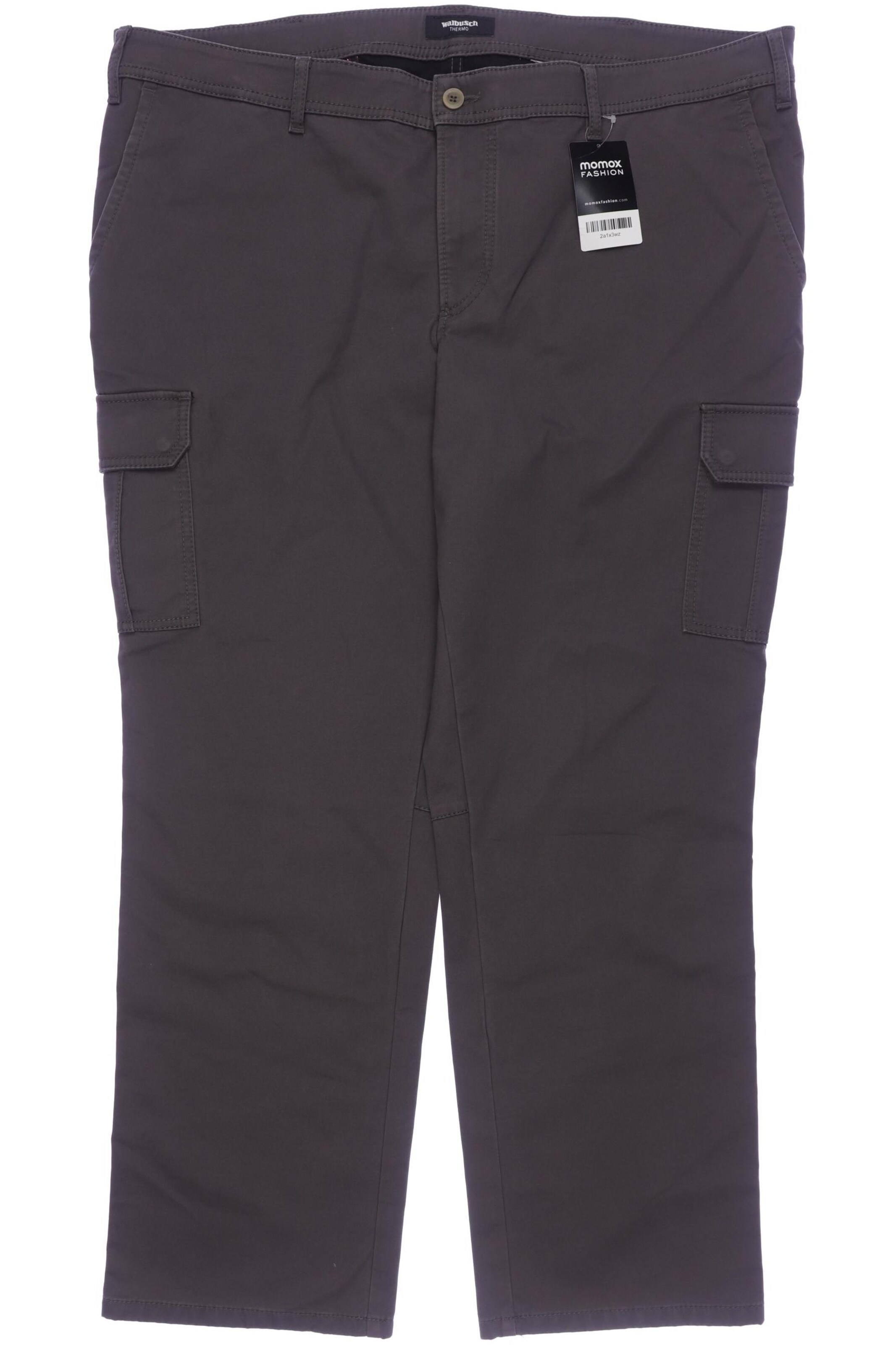Walbusch Pants in 44 in Grey: front