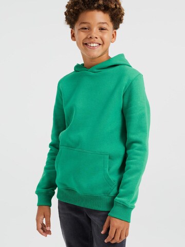 WE Fashion Sweatshirt in Green