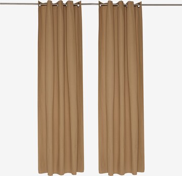 TOM TAILOR Curtains & Drapes in Brown: front