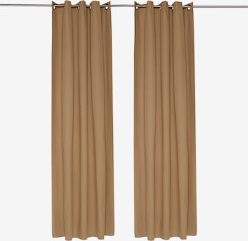 TOM TAILOR Curtains & Drapes in Brown: front