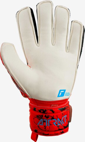 REUSCH Sporthandschoenen 'Attrakt Grip' in Rood