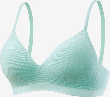 LASCANA Push-up Bra in Green