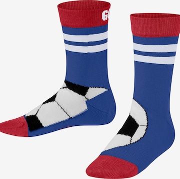 FALKE Socken 'Active Soccer' in Blau: Vorderseite