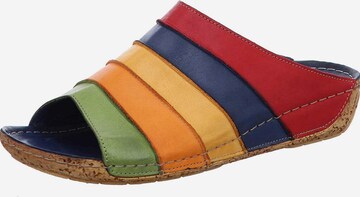 Gemini Mules in Mixed colors: front