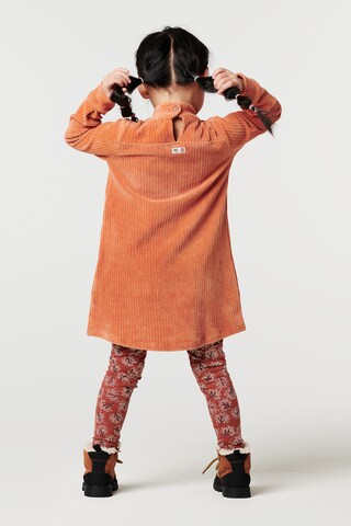 Noppies Dress 'Koontz' in Orange