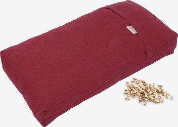 YOGISTAR.COM Pillow in Red: front