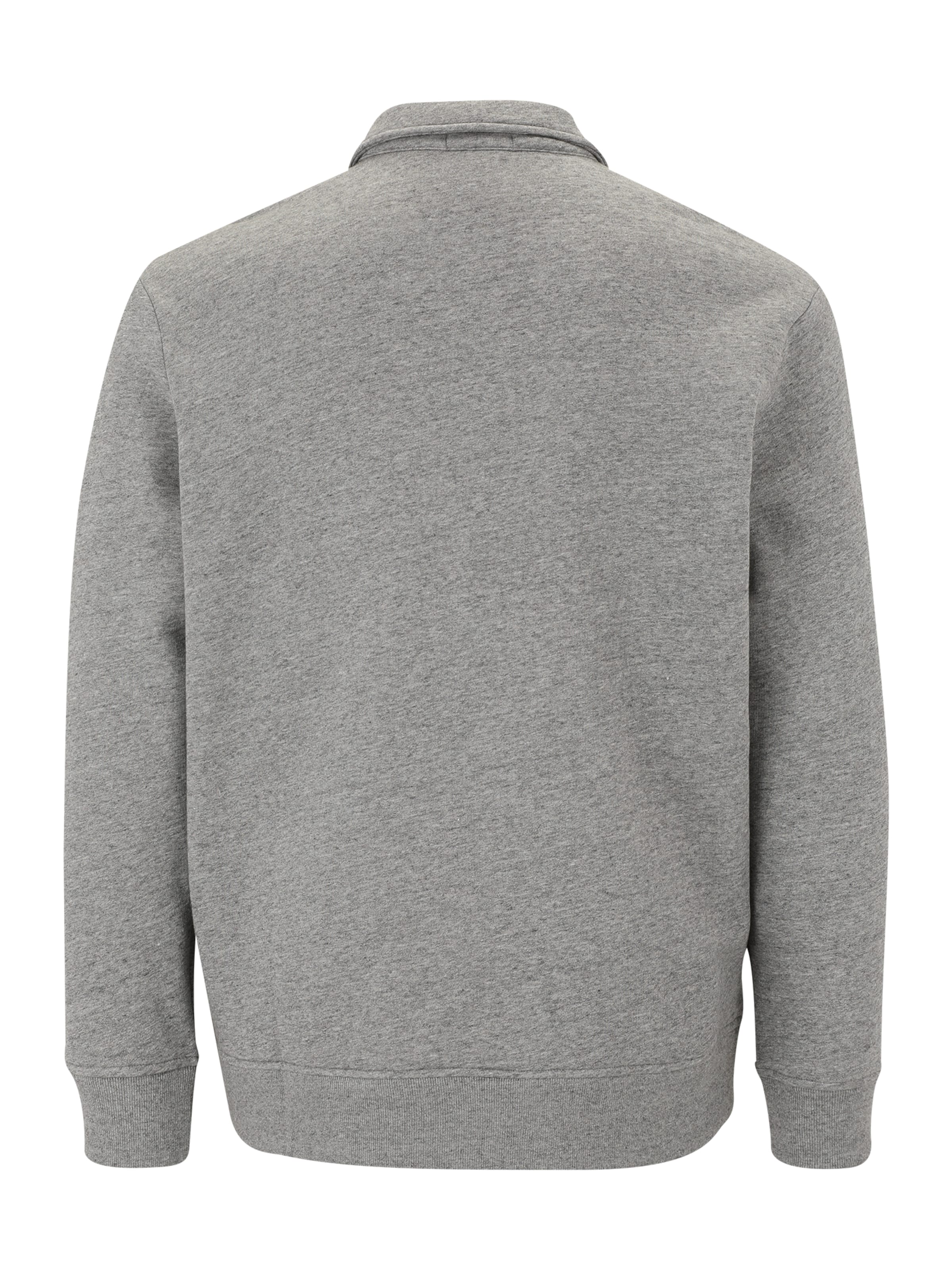 Polo Ralph Lauren Big & Tall Mikina 'SEASONAL' – šedá