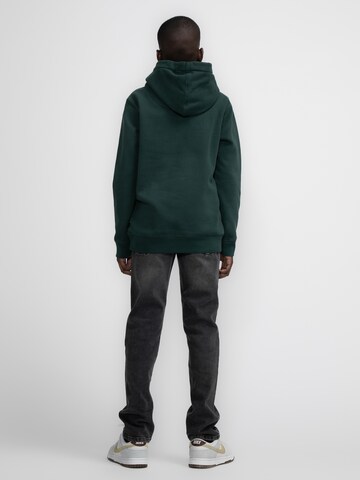 Petrol Industries Sweatshirt 'PortLions' in Groen