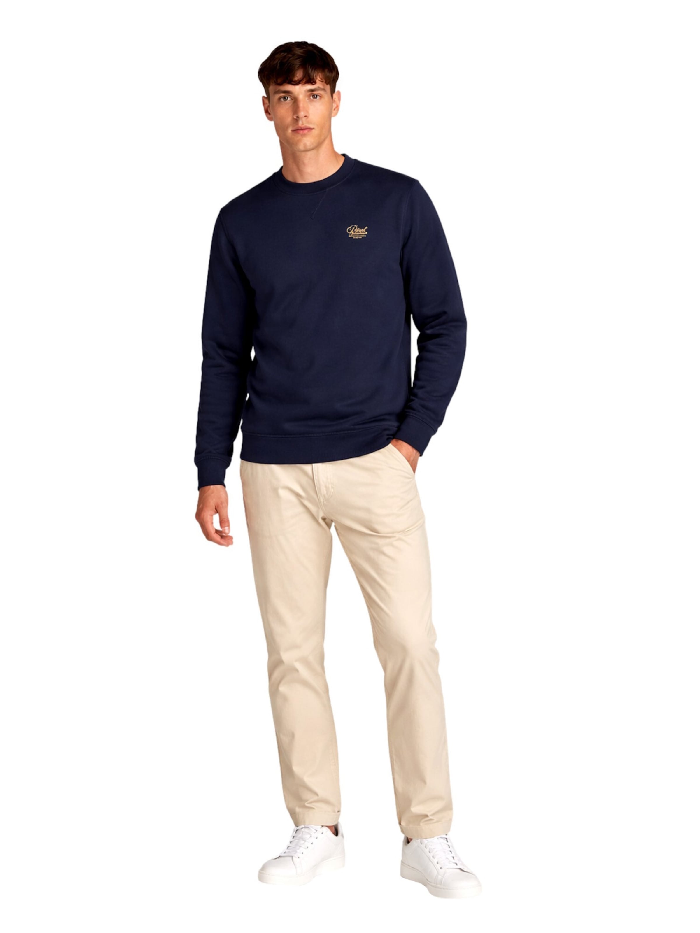 Petrol Industries Sweatshirt in Blau