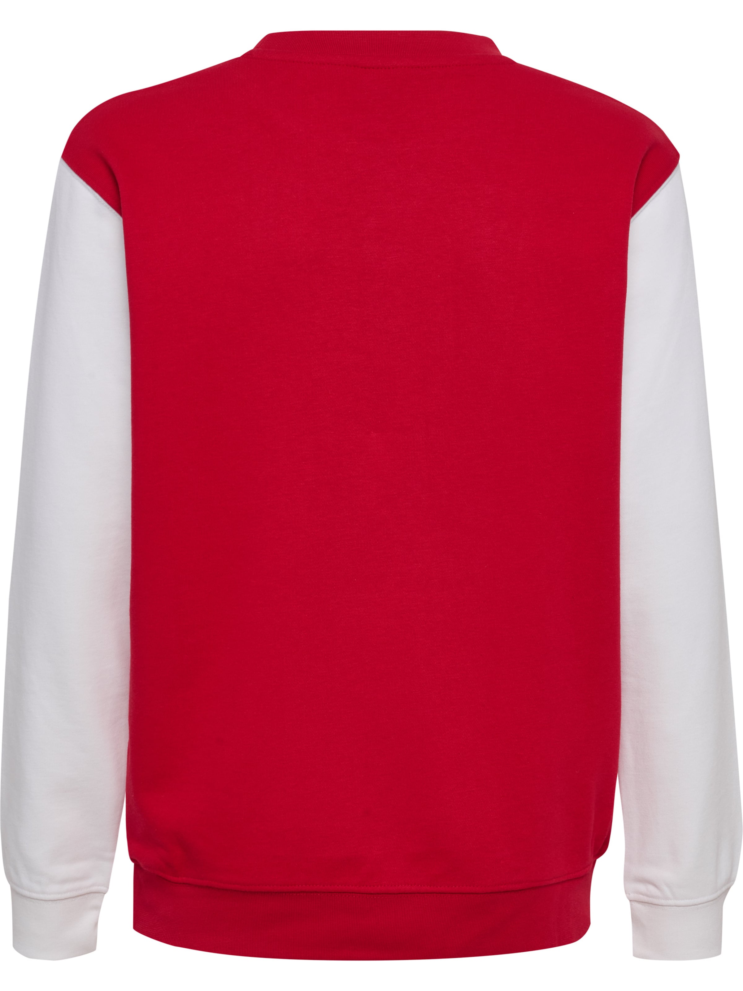 Hummel Sportsweatshirt 'DBU 26 Fan' in Rot