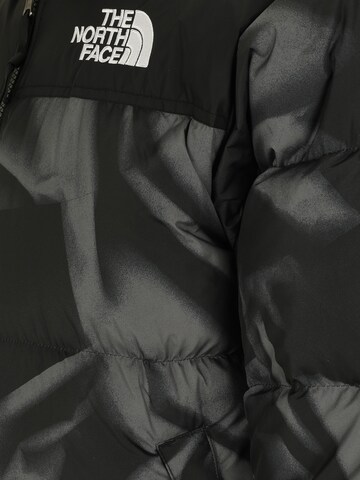 THE NORTH FACE Rovný strih Zimná bunda '1996 Retro Nuptse' - Sivá