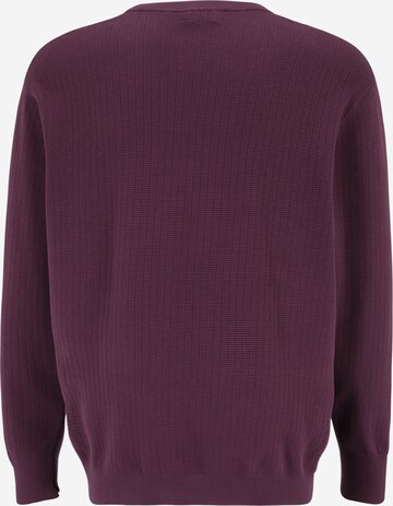 Calvin Klein Big & Tall - Pullover em roxo