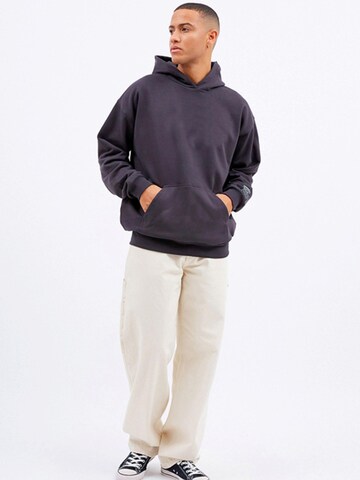 Dr. Denim Sweatshirt 'Damien Hoodie' in Grey