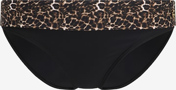 LASCANA Bikini Bottoms in Black: front