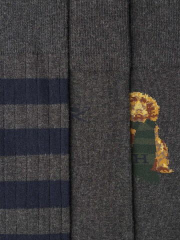 Hackett London Sokken 'Harry' in Grijs