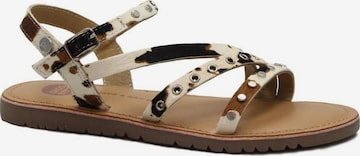 GIOSEPPO Sandalen in Beige: voorkant