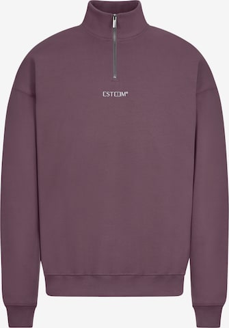 ESTEEM Collegepaita ' Discreet Oversized Halfzip ' värissä vaaleanpunainen: etupuoli