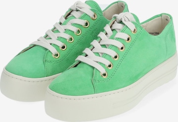 Sneaker bassa di Paul Green in verde