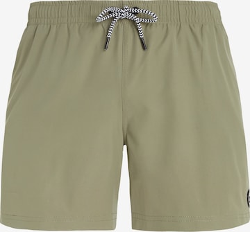 PROTEST Board Shorts 'PRTYESSINE' in Green: front