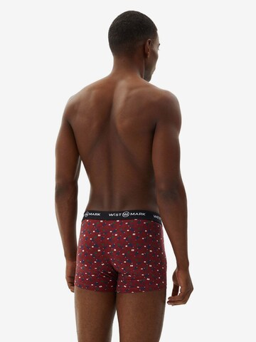 Boxers WESTMARK LONDON en mélange de couleurs