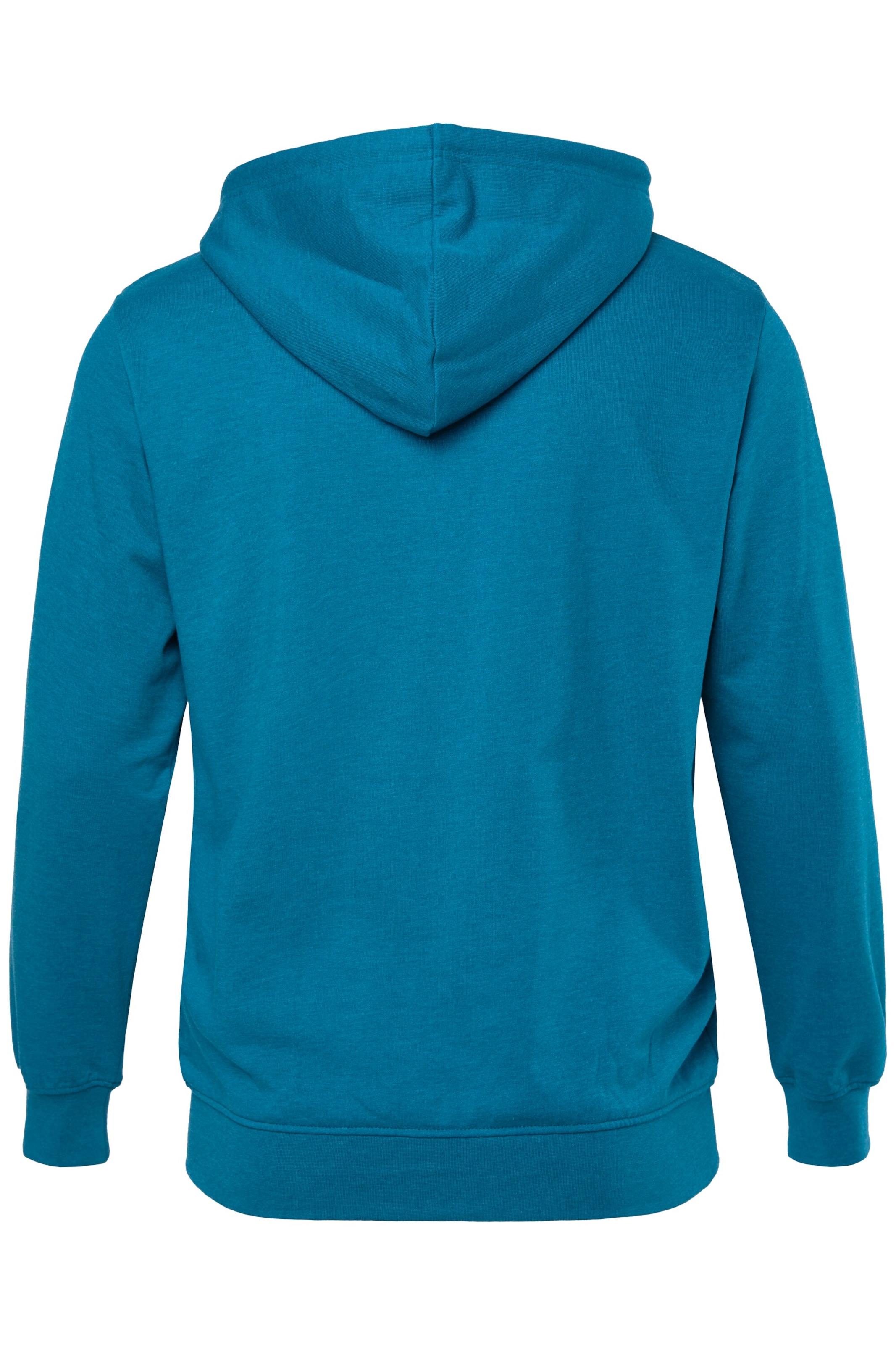 Men Plus Sweat jacket in Blue