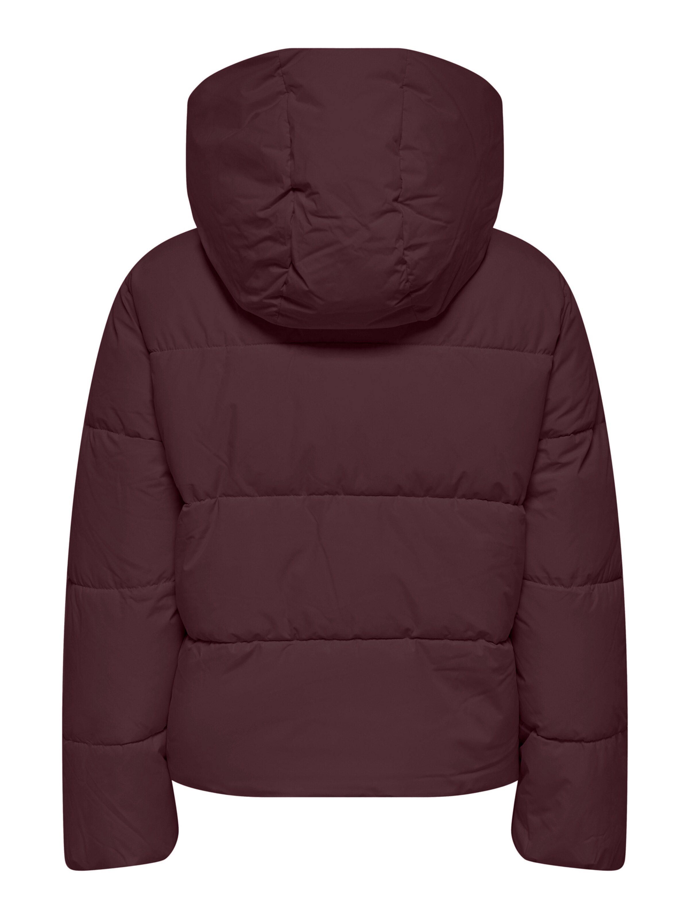 ONLY Winter Jacket 'ONLJUTA' in Brown