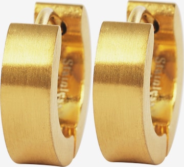 Akzent Earrings 'Erik, langlebig' in Gold: front