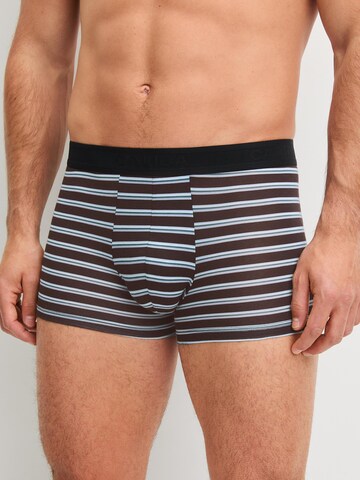 CALIDA Boxershorts 'Focus Trend'‌‌‌‌‌‌‌ in Braun