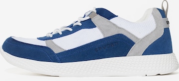 Sneaker bassa di Spyder in blu: frontale