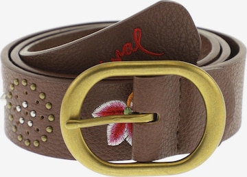 Desigual Belt in One size in Brown: front