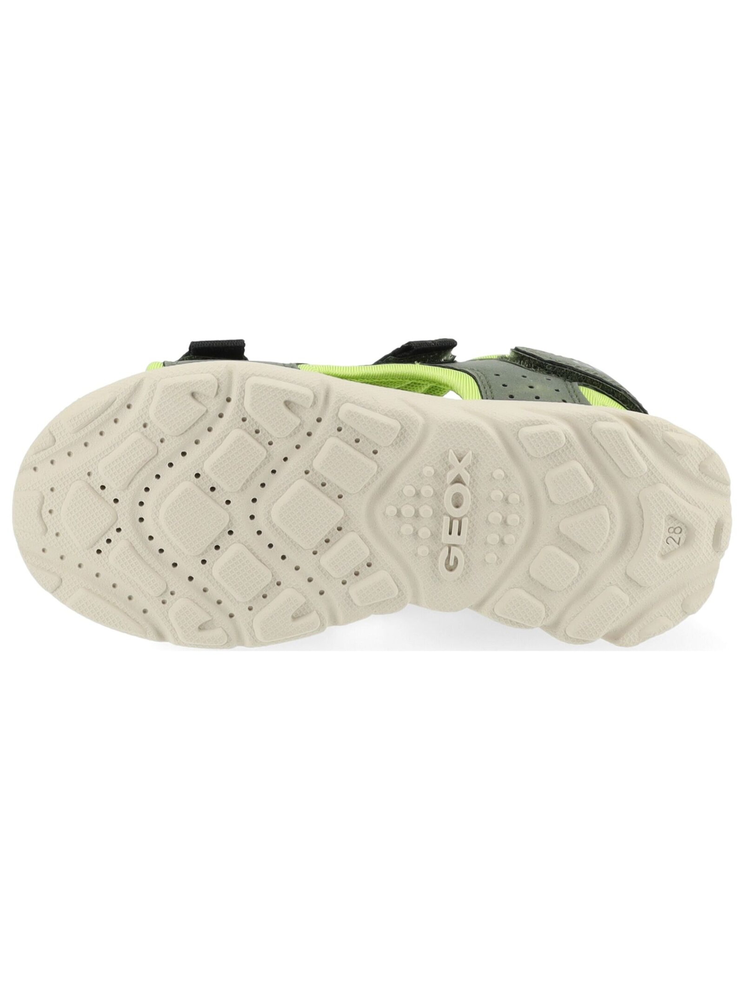 GEOX Open schoenen in Groen