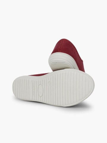 Baskets Pisamonas en rouge