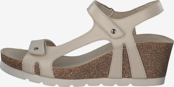 Sandales à lanières 'Varel' PANAMA JACK en beige